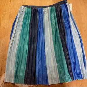 Anthropologie Shimmering Pleated Skirt.